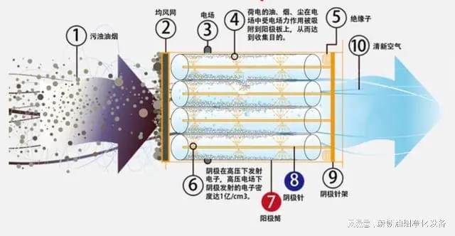 z6尊龙油烟净化器油烟净化器油烟净化器为什么是餐饮店不可或缺的环保设备？