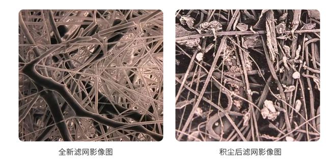 猫冬时节空调、空气净化器等滤网藏上亿细菌病毒比马桶还脏？